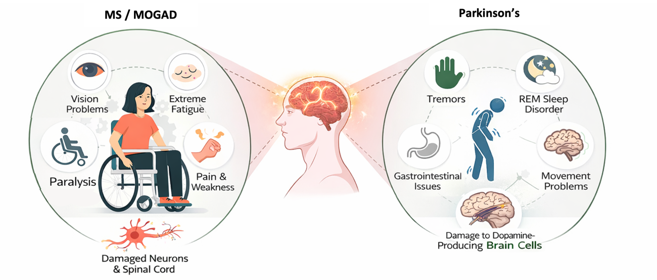 MS and PD symptoms